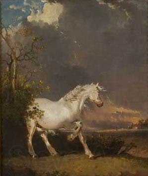 James Ward A horse in a landscape startled by lightning France oil painting art